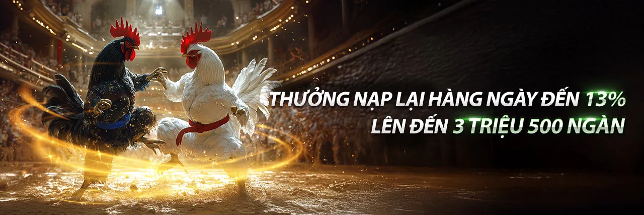 Hình ảnh sang trọng của chương trình VIP kk88 login